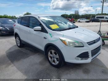  Salvage Ford Escape