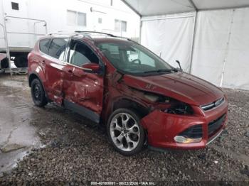  Salvage Ford Escape