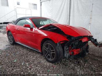  Salvage Ford Mustang