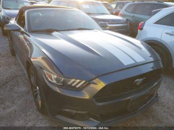  Salvage Ford Mustang