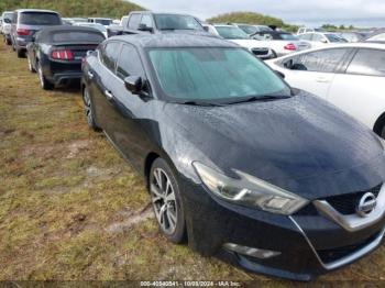  Salvage Nissan Maxima