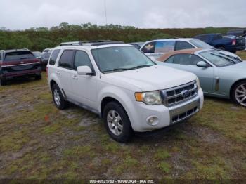  Salvage Ford Escape