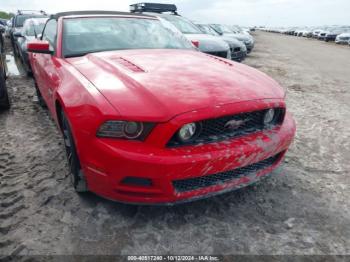  Salvage Ford Mustang