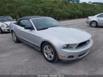  Salvage Ford Mustang