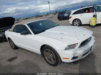  Salvage Ford Mustang