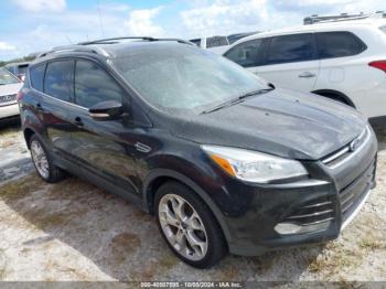  Salvage Ford Escape