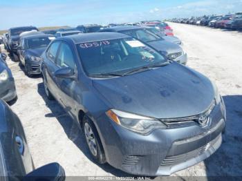  Salvage Toyota Corolla