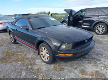  Salvage Ford Mustang