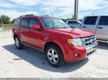  Salvage Ford Escape