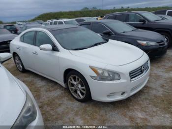  Salvage Nissan Maxima