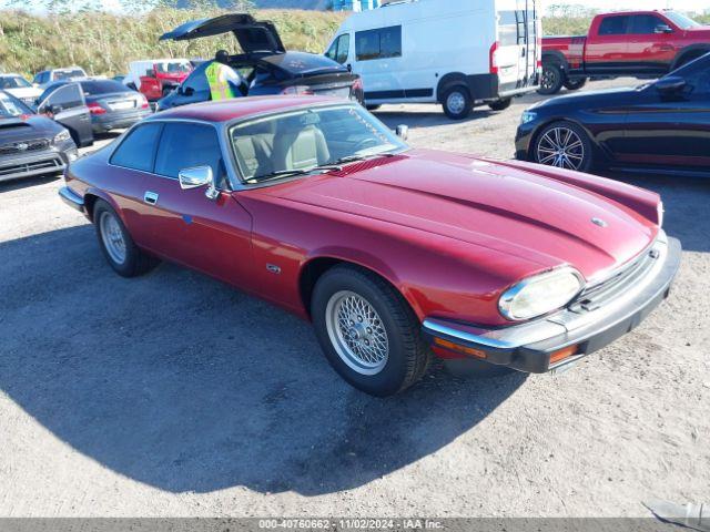  Salvage Jaguar Xjs