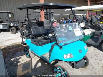  Salvage Evolution Golf Cart