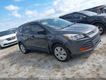  Salvage Ford Escape