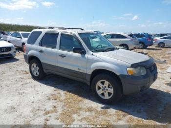  Salvage Ford Escape