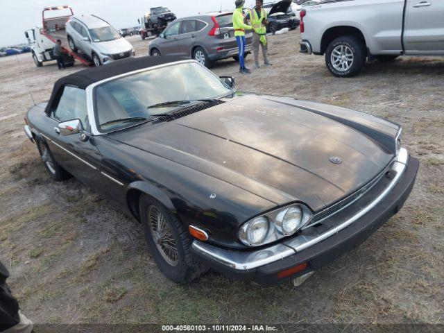  Salvage Jaguar Xjs