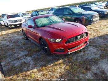  Salvage Ford Mustang