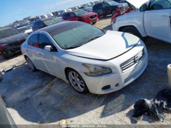  Salvage Nissan Maxima