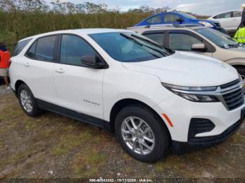  Salvage Chevrolet Equinox