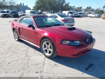  Salvage Ford Mustang