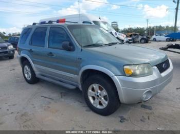  Salvage Ford Escape