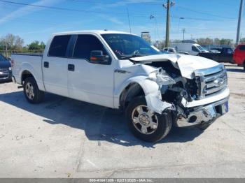  Salvage Ford F-150