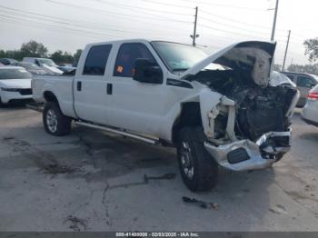  Salvage Ford F-250