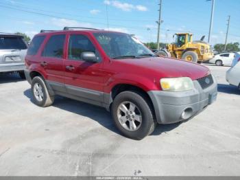  Salvage Ford Escape
