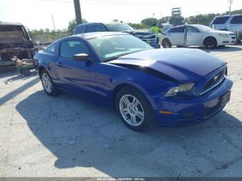  Salvage Ford Mustang