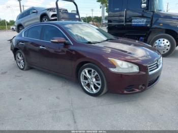  Salvage Nissan Maxima