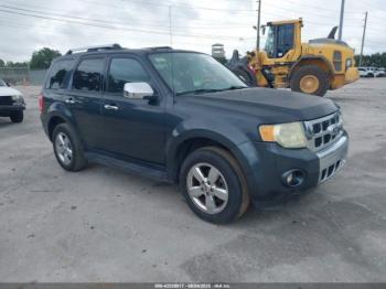  Salvage Ford Escape