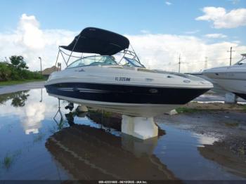  Salvage Sea Ray Other