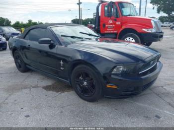  Salvage Ford Mustang