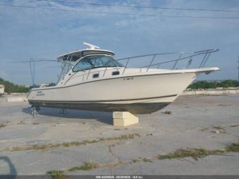  Salvage Pursuit Other