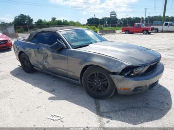  Salvage Ford Mustang