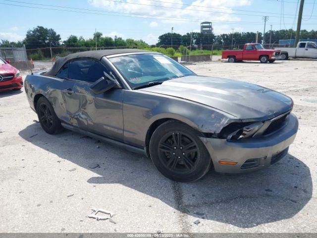  Salvage Ford Mustang