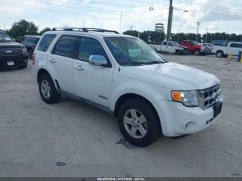  Salvage Ford Escape