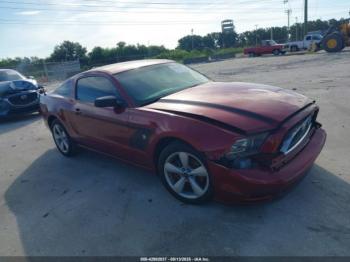  Salvage Ford Mustang