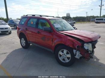 Salvage Ford Escape