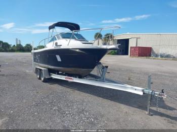  Salvage Bayliner Other
