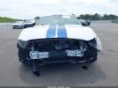 Ford Shelby Gt350 Image 15