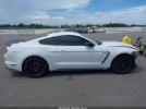 Ford Shelby Gt350 Image 9