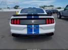 Ford Shelby Gt350 Image 2