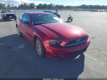  Salvage Ford Mustang