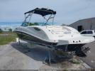 Sea Ray Other Image 9