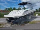 Sea Ray Other Image 8