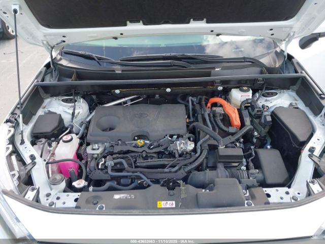 Toyota RAV4 Limited Image 12