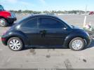 Volkswagen Beetle Gl Image 3