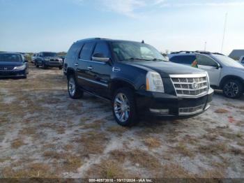  Salvage Cadillac Escalade