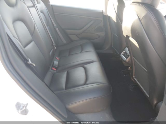 Tesla Model 3 Image 12