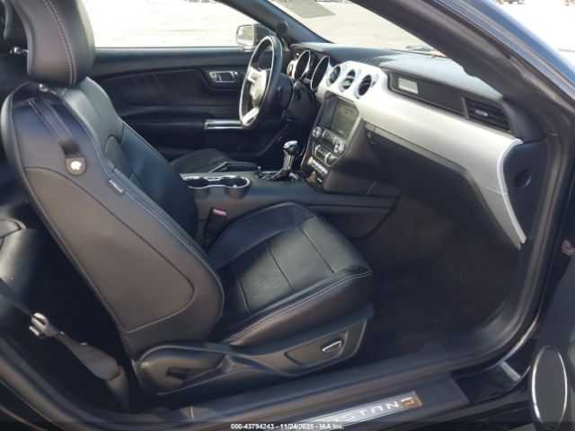 Ford Mustang Ecoboost Image 9